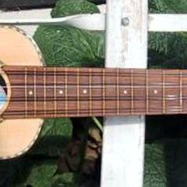 Ukulele